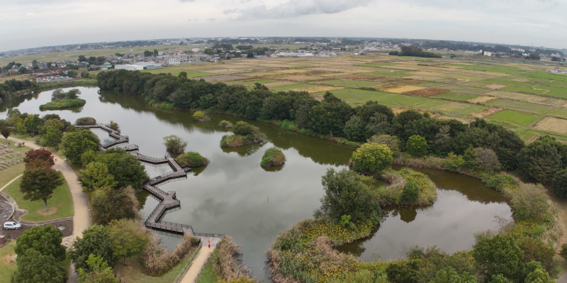 「ドローン空撮で見る、松伏町の美しい風景」